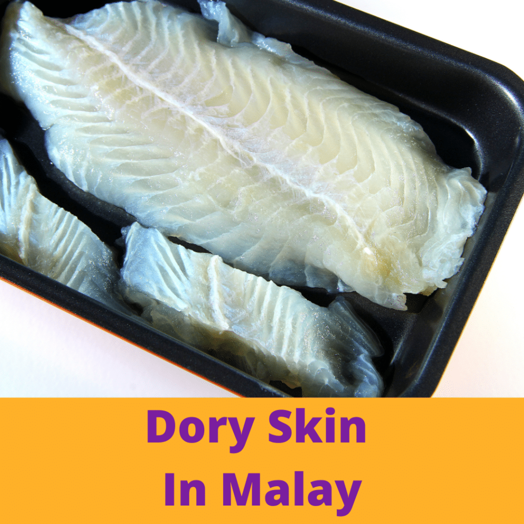 Apa Itu Dory Skin | Dory Skin In Malay • Dory Skin Chips